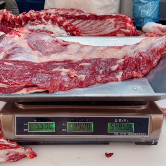 【闪购商品】冷冻保存30天包装河北省