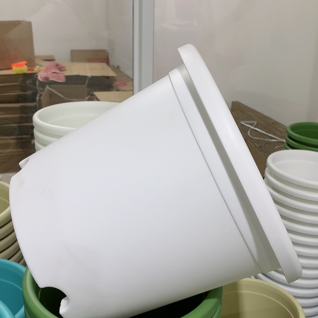 树脂四季口29白3个无托