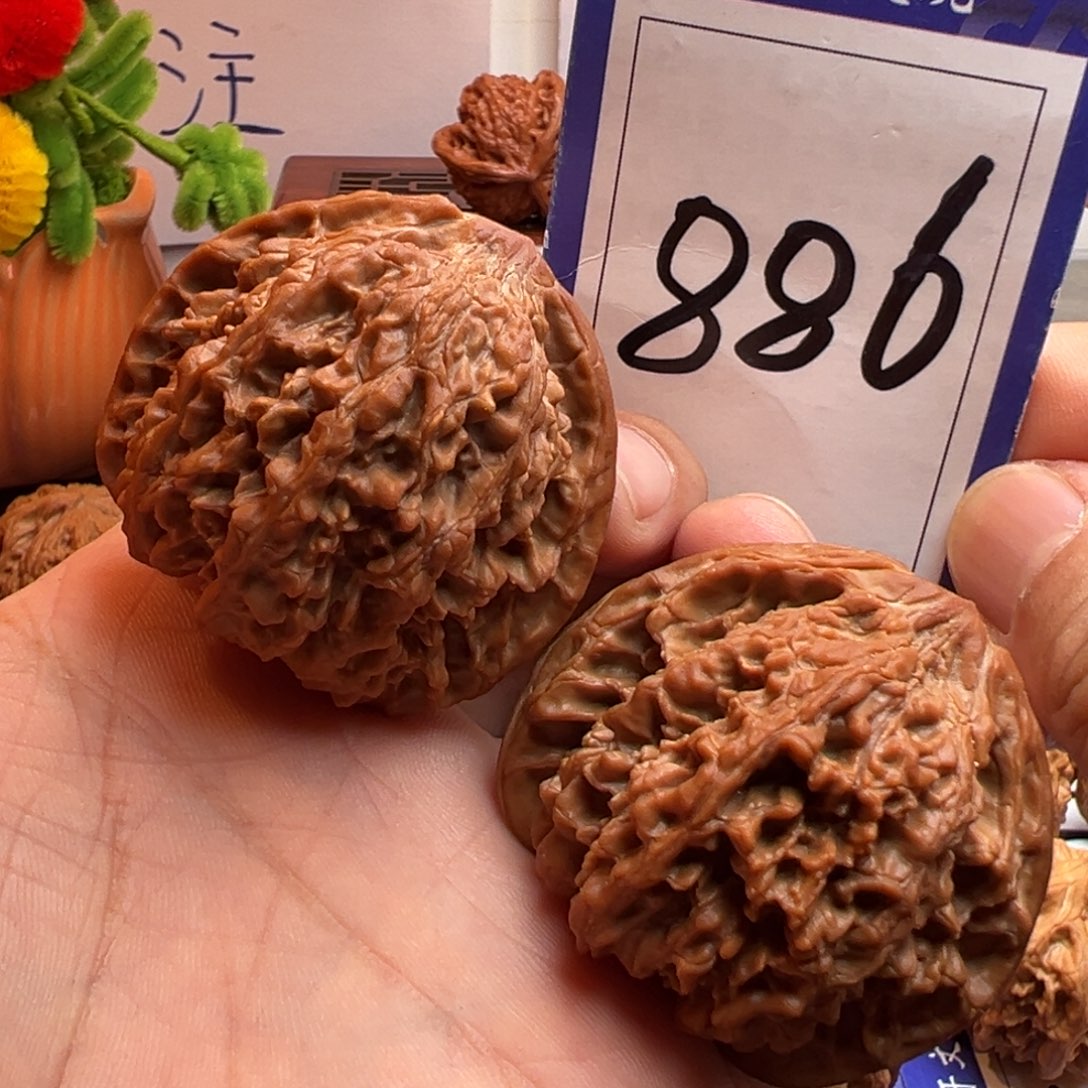文玩核桃把件满天星49尺寸886号
