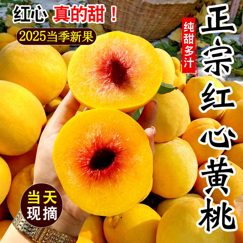 贵州高山锦绣黄桃新鲜现摘现发净重4.8斤