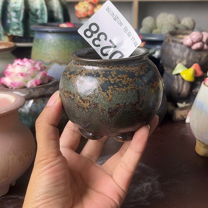 重庆小燕子欢迎大家238