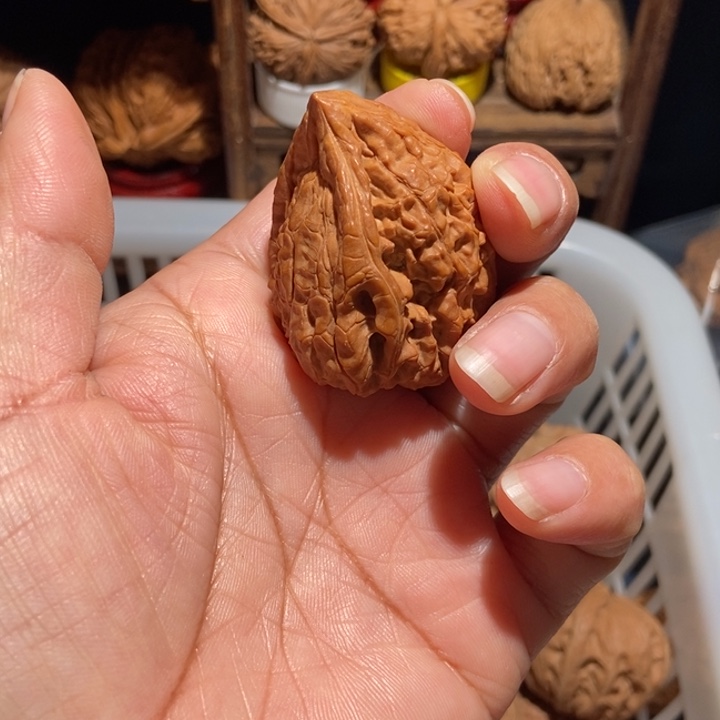 就***…核桃官帽尺寸34微黄