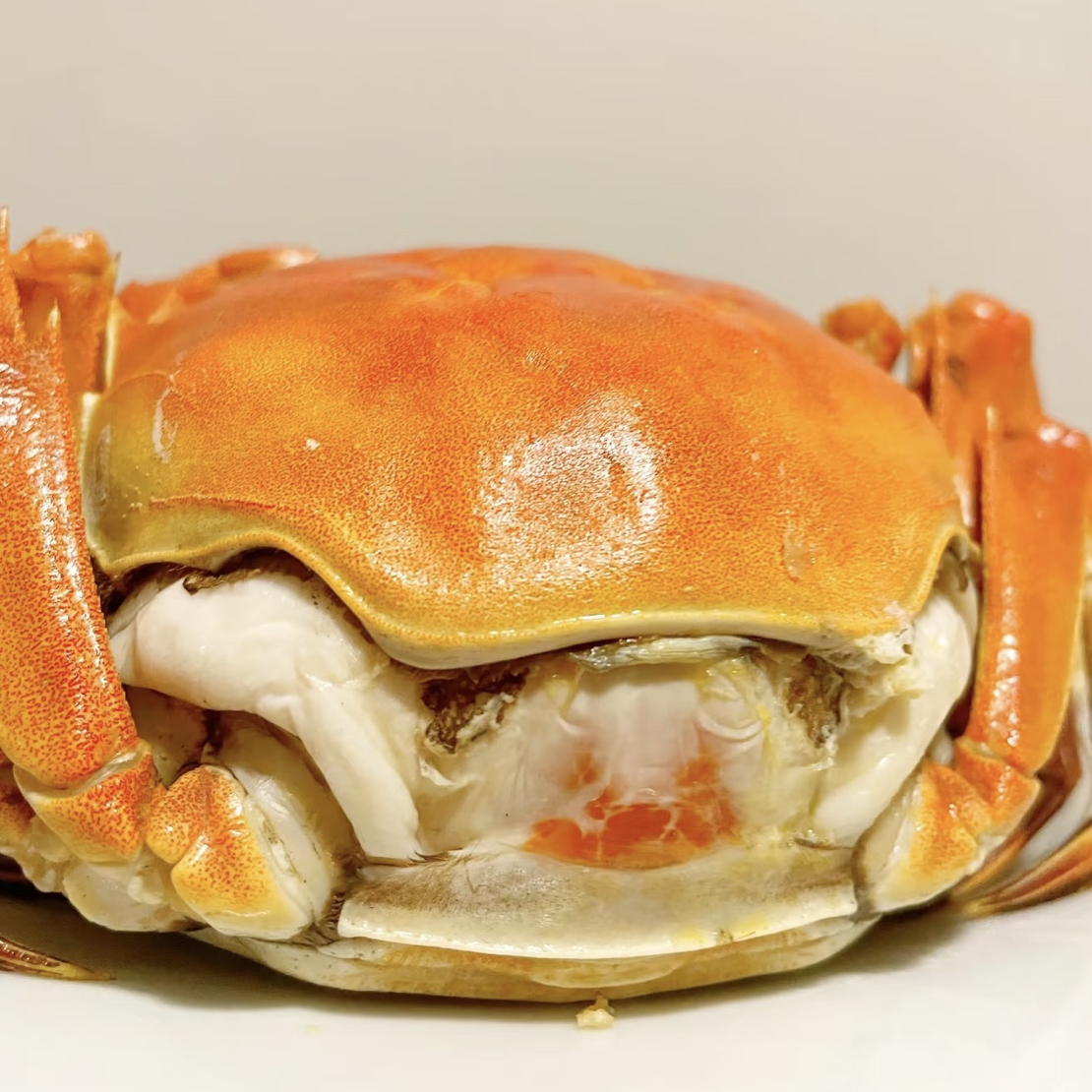 【兴化大闸蟹】活蟹4斤/母蟹3两-2.5两/16只左右