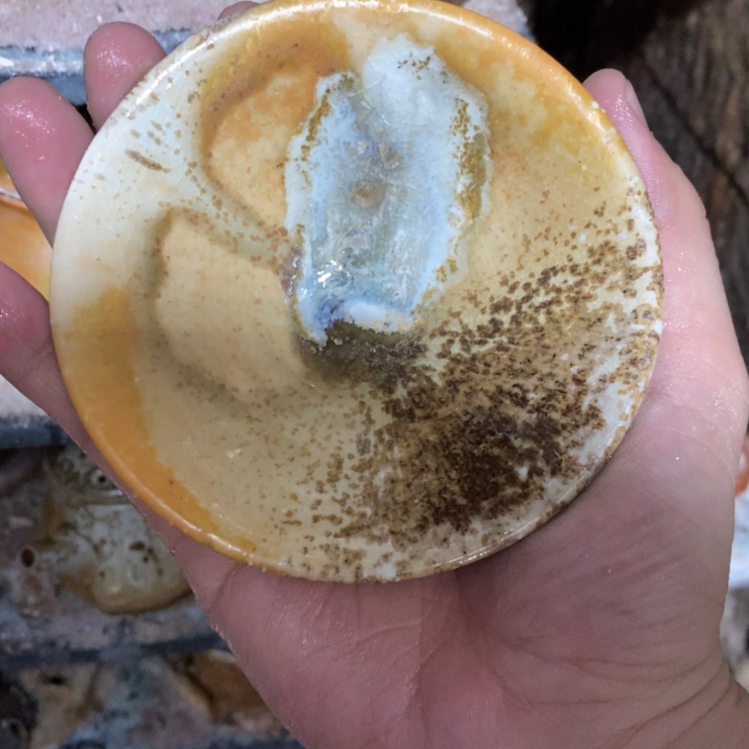 开窑大吉 高货多多469