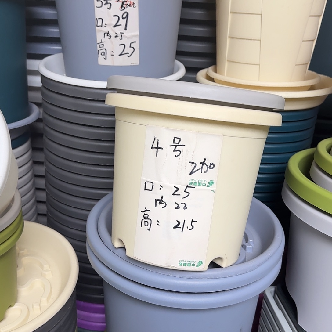 树脂四季4号无托10个米黄