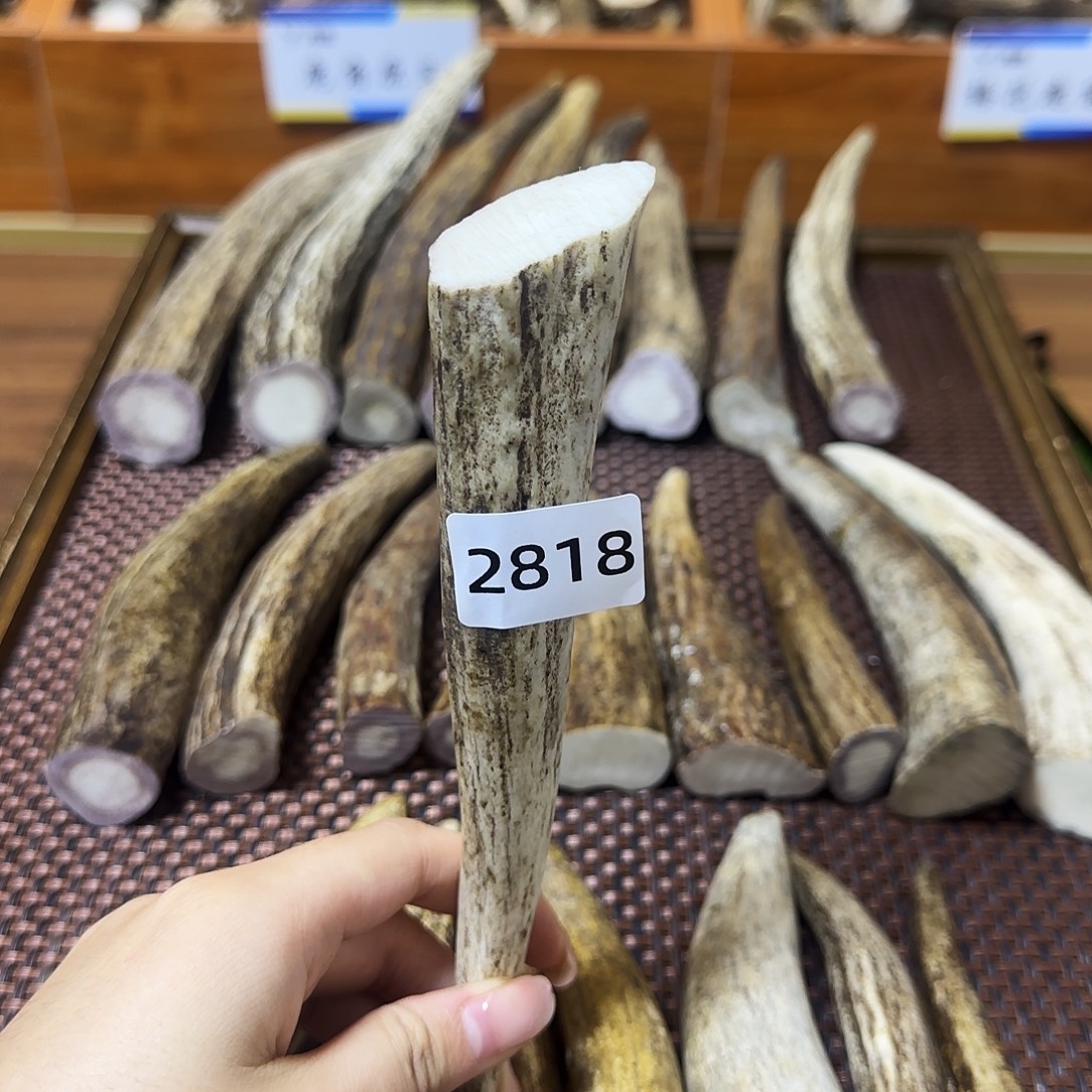 手串/手链鹿骨角尖2818