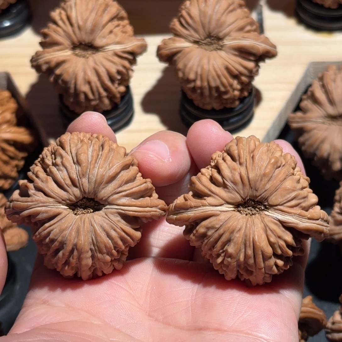 核桃43全品差肚拱桥楼