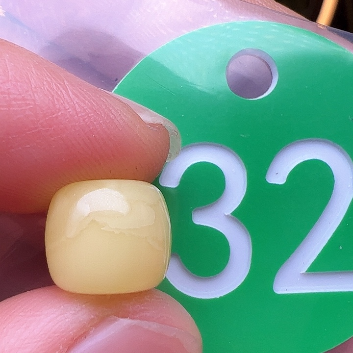 蜜蜡裸石未镶嵌10m m