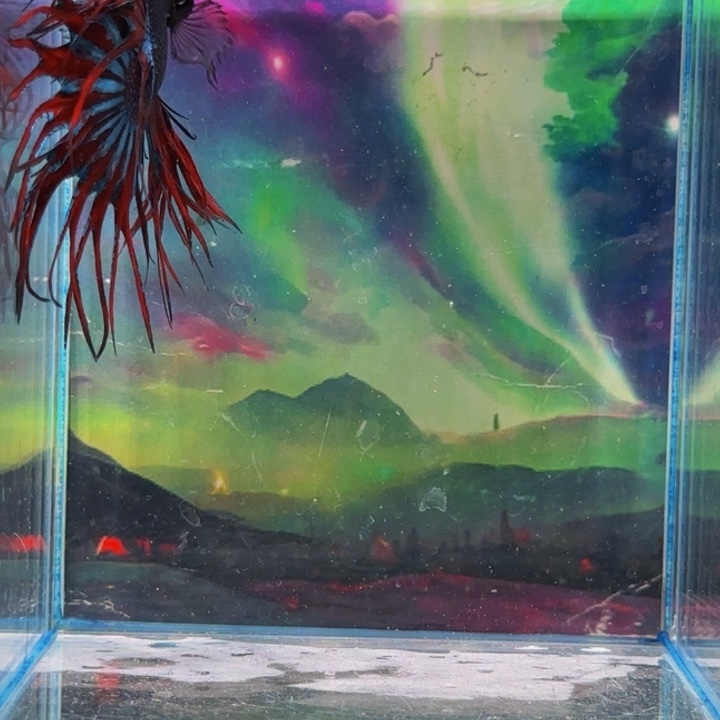 斗鱼那么这个时候就是因为这个