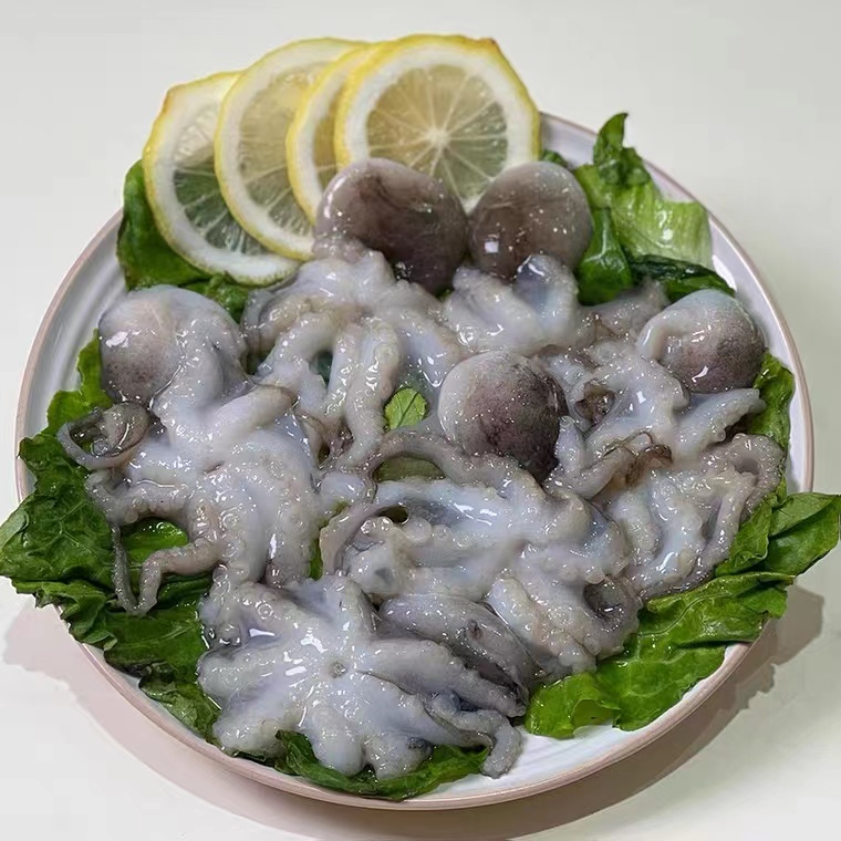 青岛野生短腿八爪鱼/章鱼（每斤6-10只）共4斤 鲜鱼速冻青岛发顺丰