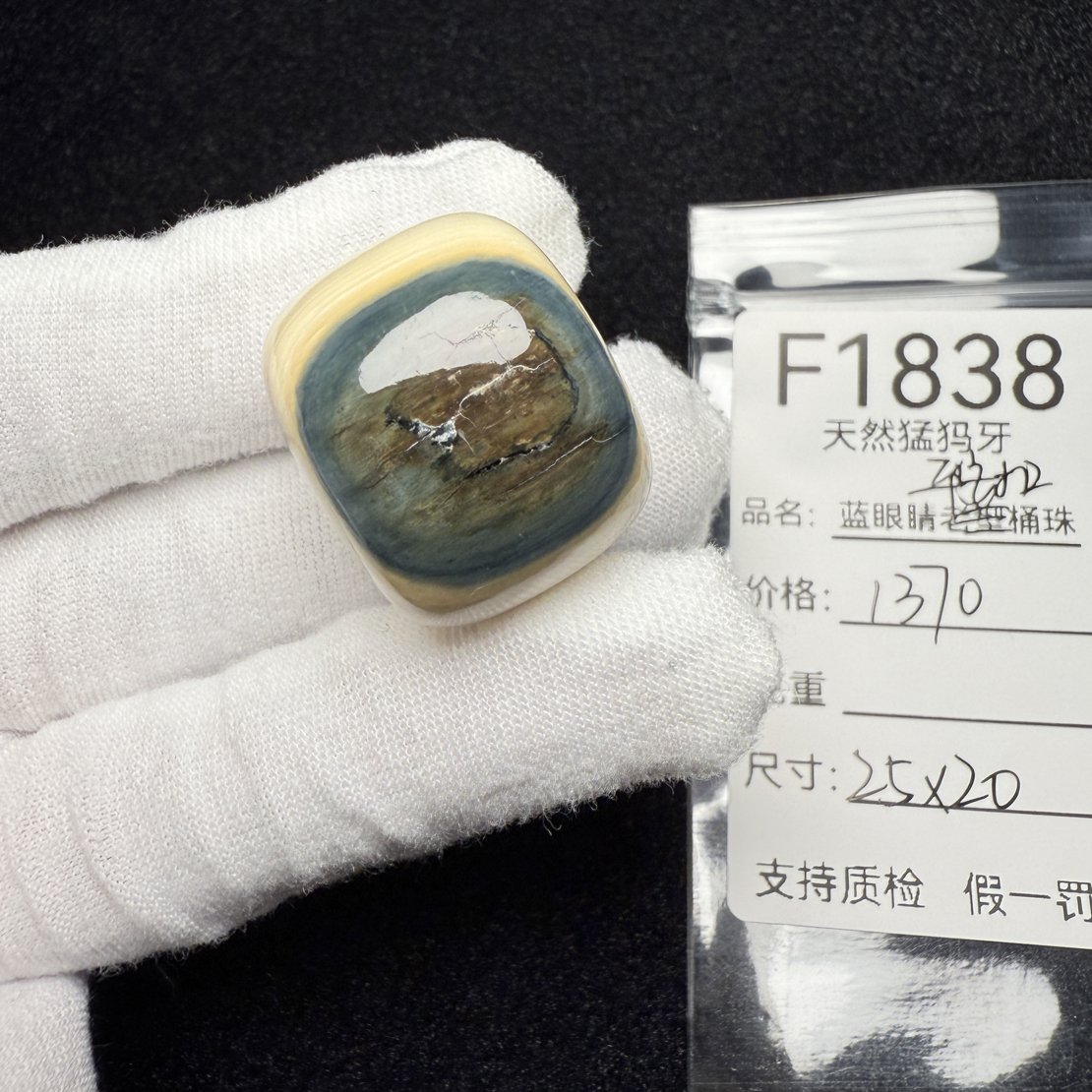 F1838天然猛犸象牙蓝皮平安扣蓝眼睛配珠配25*20mm冰料满纹