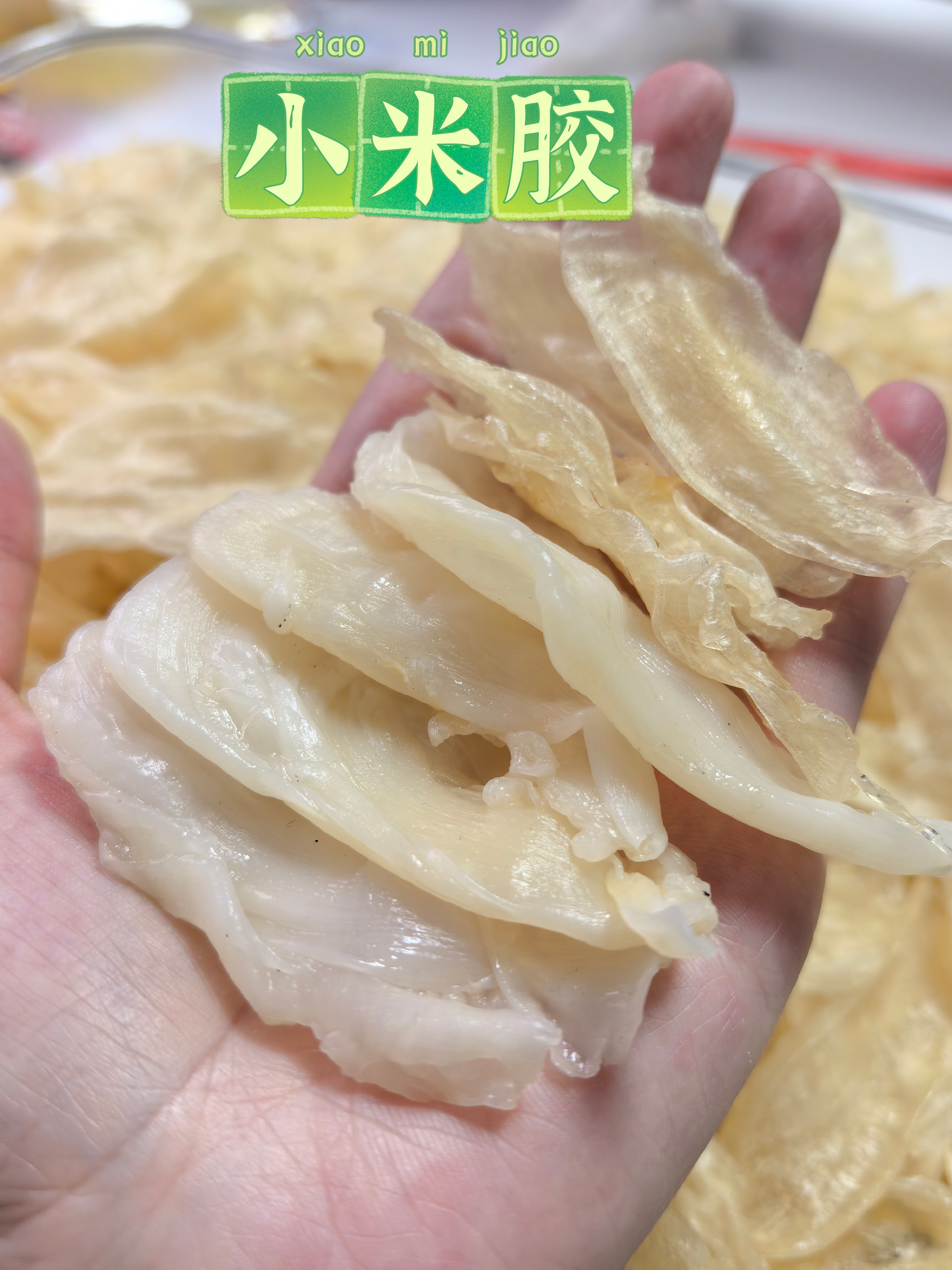 捡漏款天然滋补足干小米胶鱼胶干货高蛋白可炖汤炖甜品营养佳品