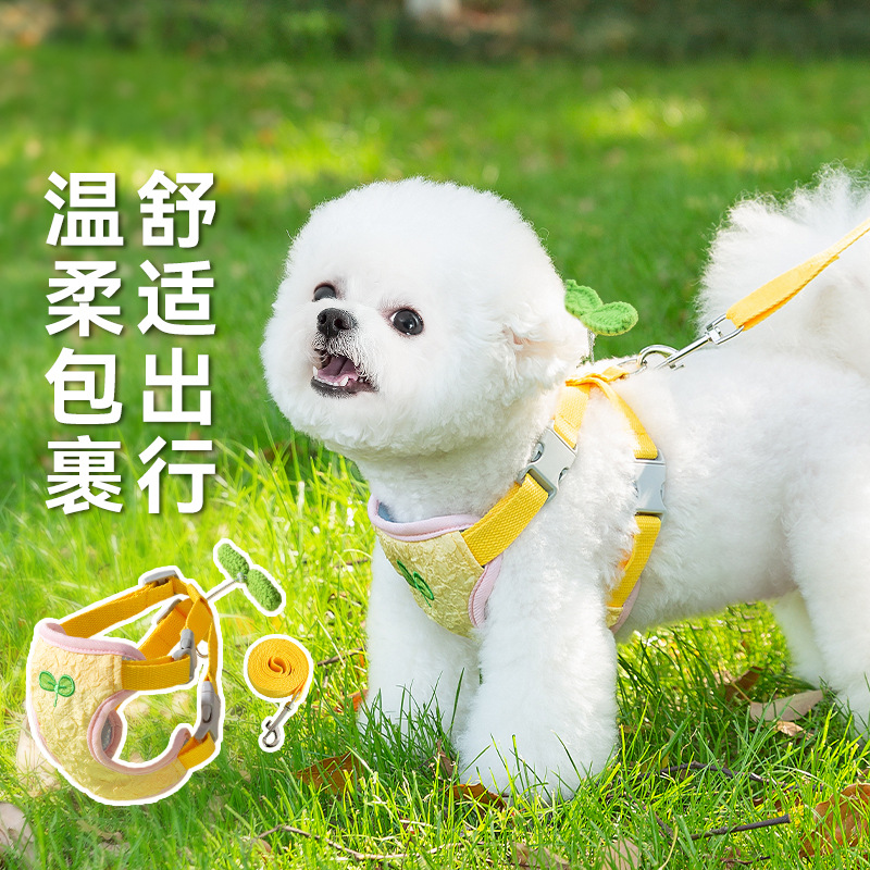 宠物狗狗牵引绳胸背款外出遛狗绳防止挣脱约克夏幼犬防挣脱牵引绳