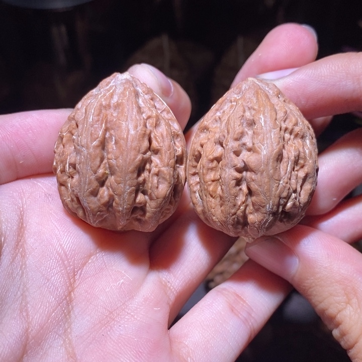 把件文玩核桃东北野生楸子小园121