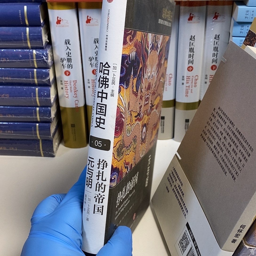 瑕疵   挣扎的帝国  元与明