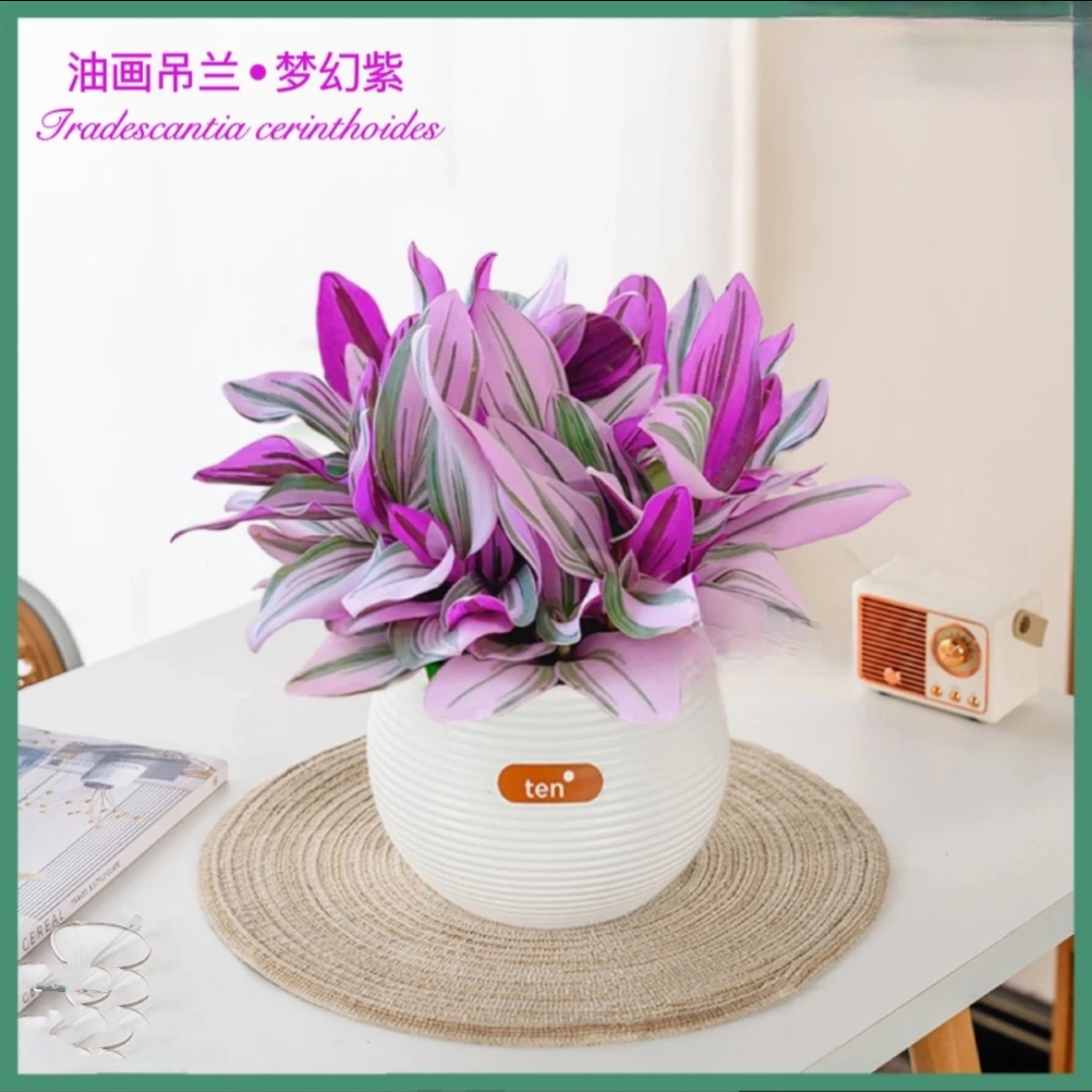 【补贴款】油画吊兰