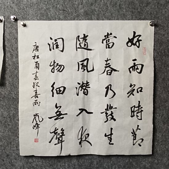 书法高老师斗方好雨知时节