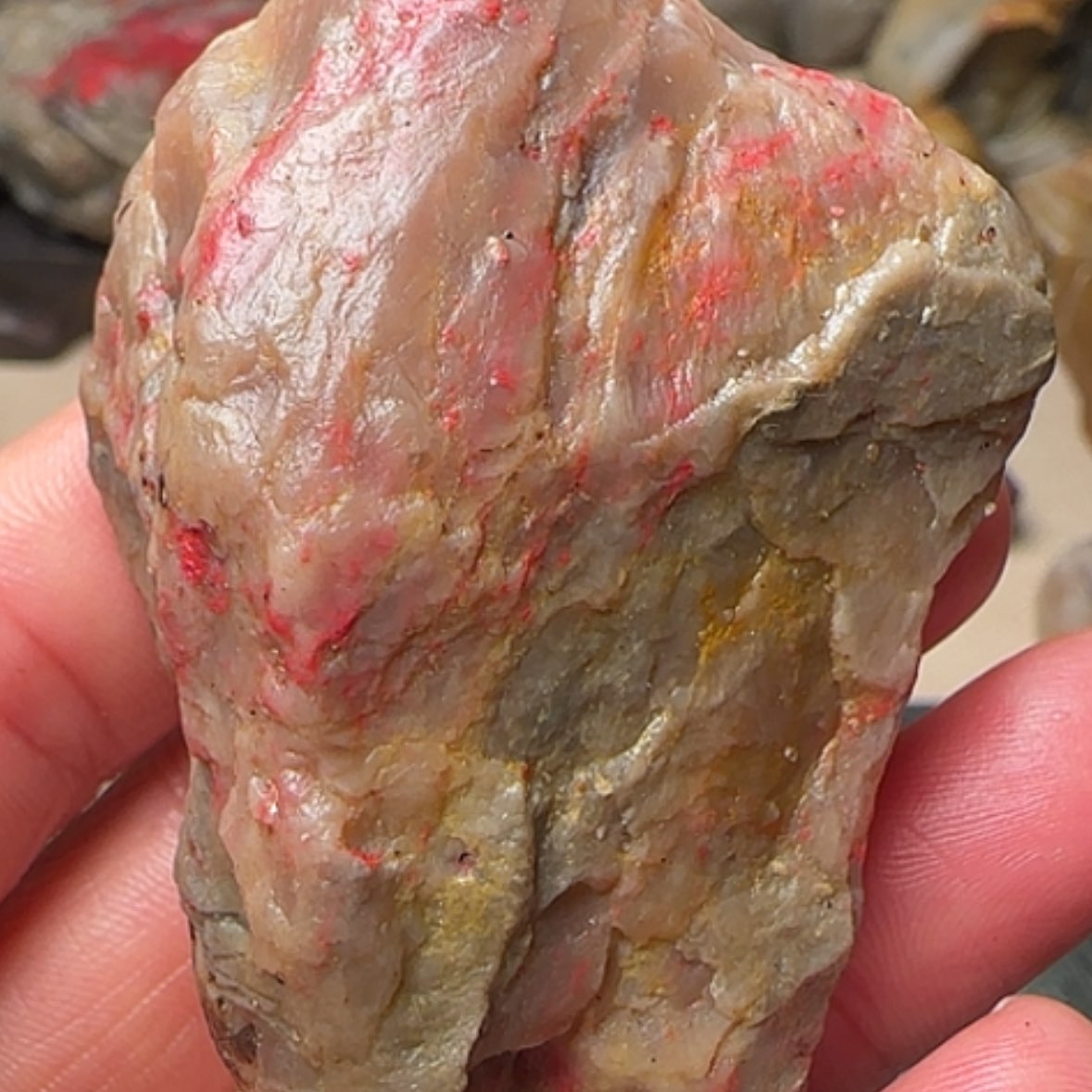 【闪购商品】昌化鸡血石威****拉昌化鸡血石原石