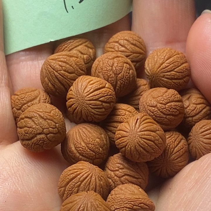 桃核吊坠秦岭山野生桃核