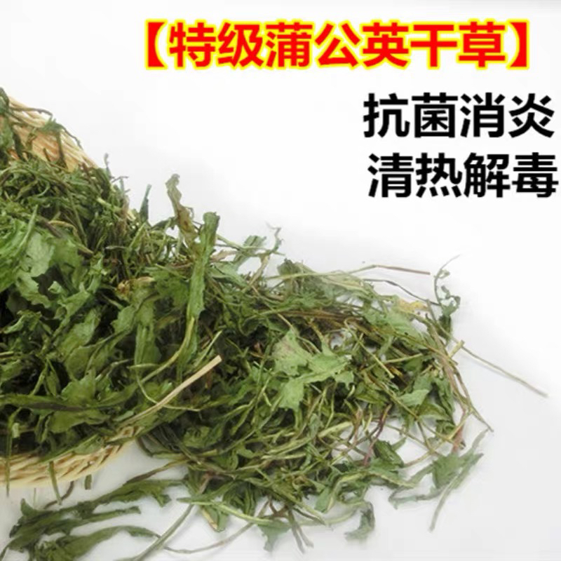 包邮天然烘干蒲公英干草清热解毒抗菌消炎宠物兔子龙猫豚鼠荷兰猪