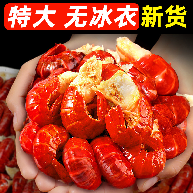 【精品大大特级】鲜冻无冰衣龙虾尾【70-80粒左右】源头货净重3斤新货