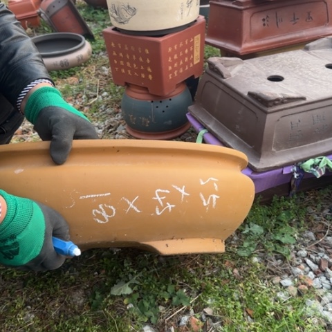 红陶紫砂花盆盆景盆栽