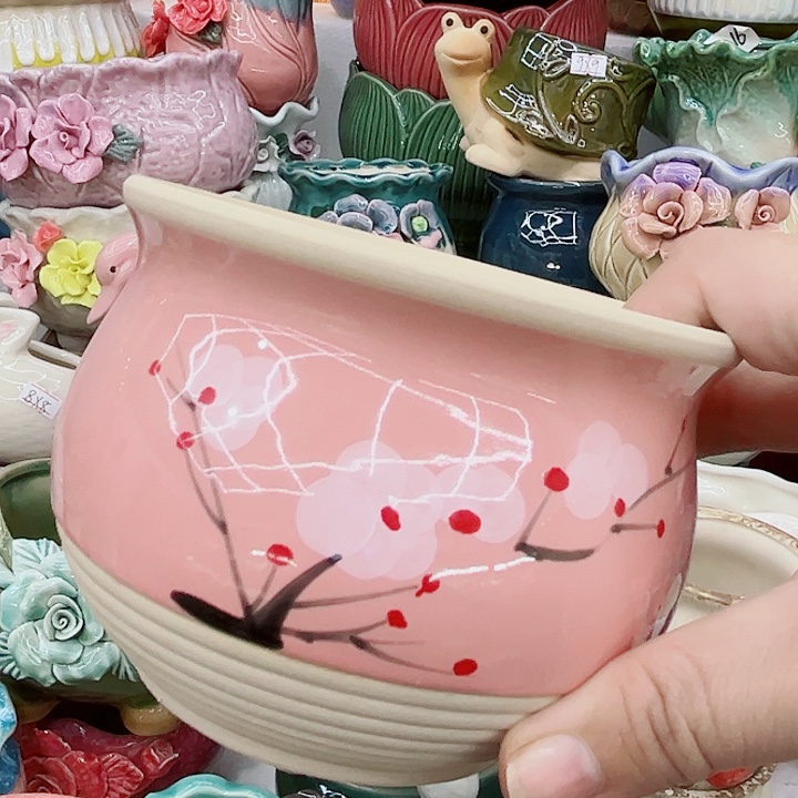 多肉植物陶瓷花盆