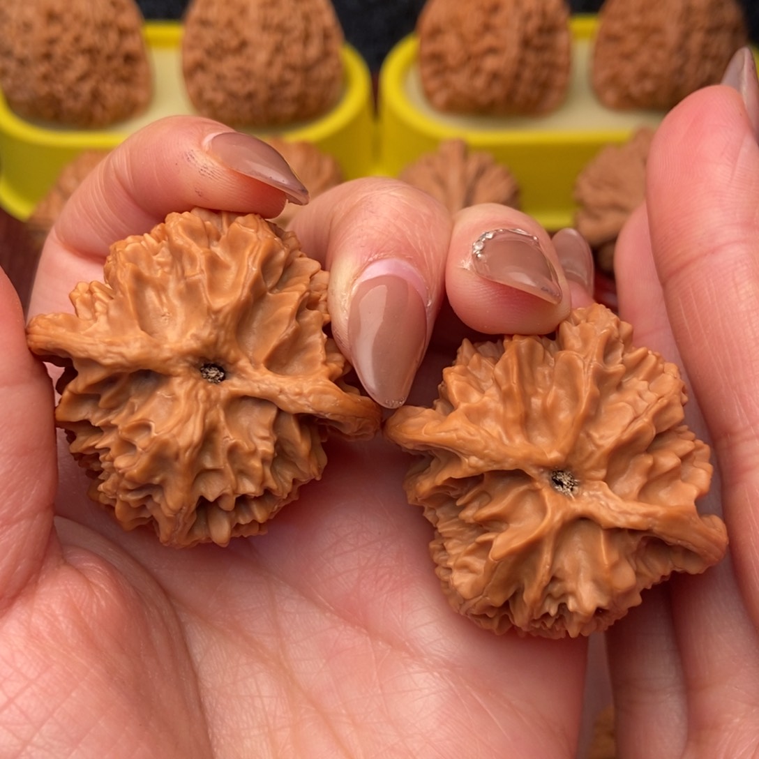 把件文玩核桃41原桩 苹果园