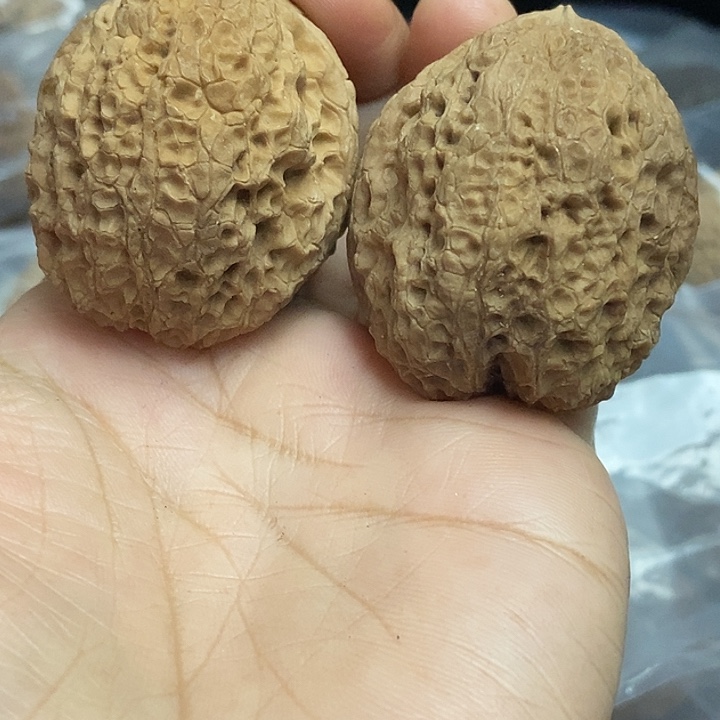 把件文玩核桃云南铁核桃基地32