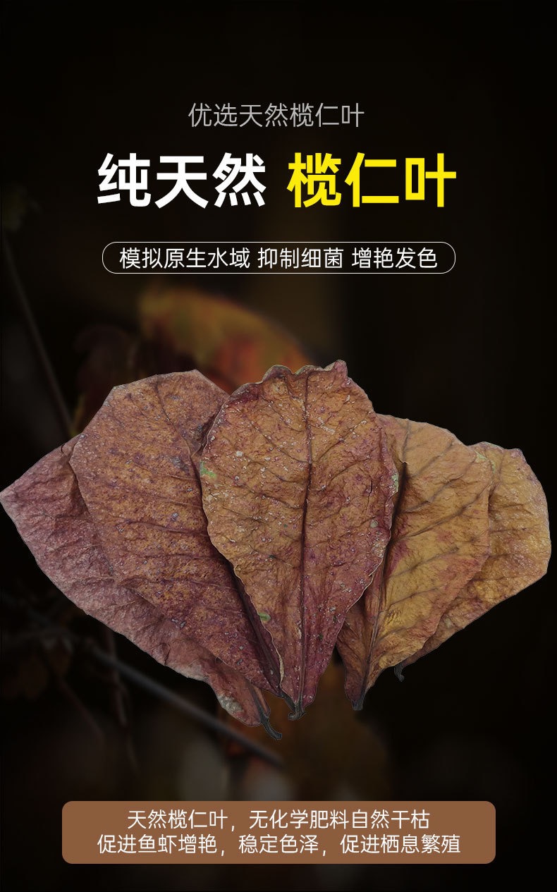 榄仁叶鱼缸PH调节剂改善水质适合斗鱼乌龟等水族生物