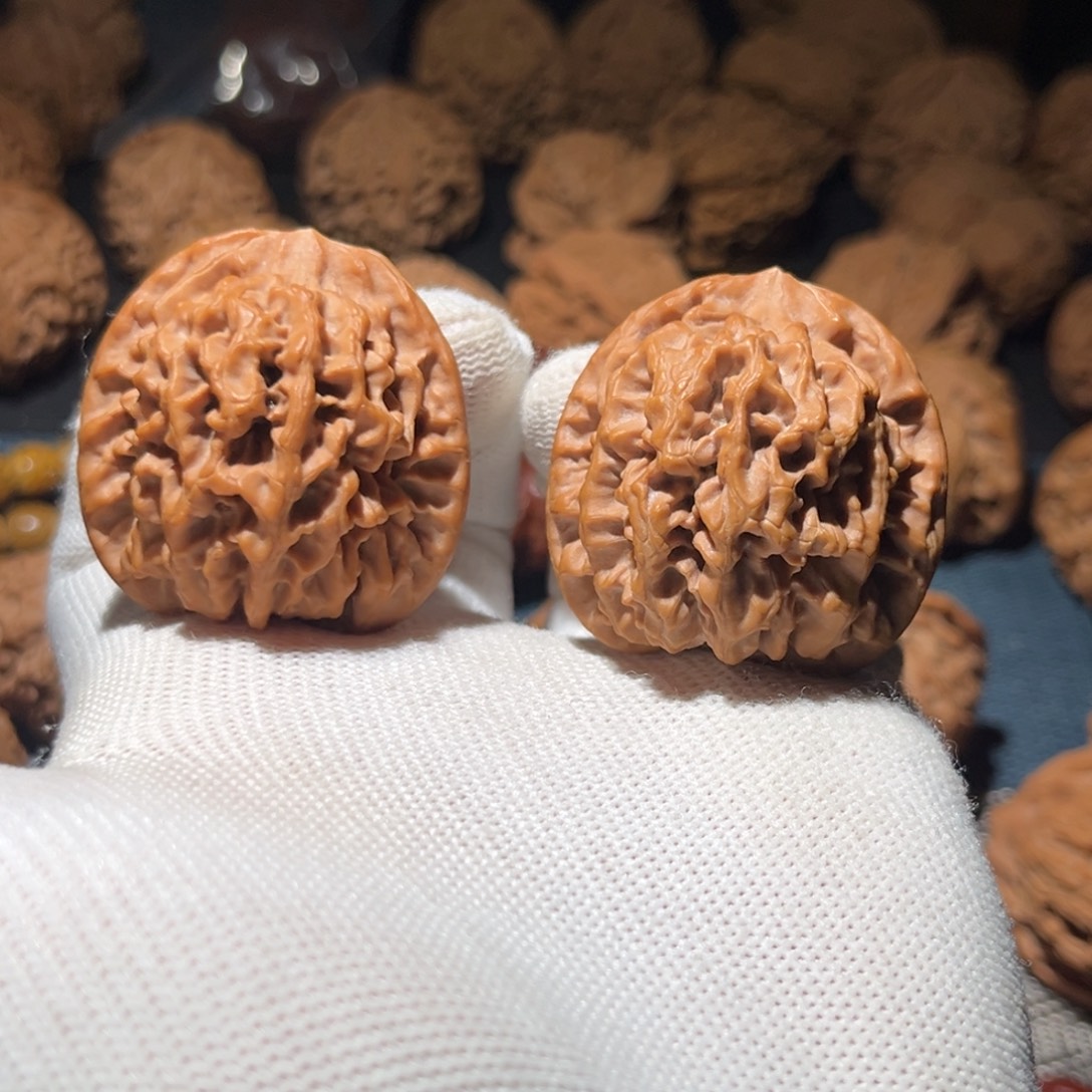 核桃38全品毕业秦闷核桃