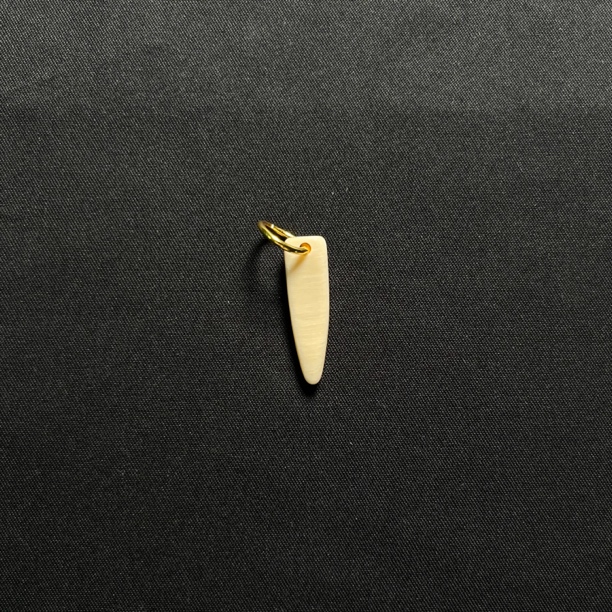 H41427 牙尖 只做天然猛犸牙