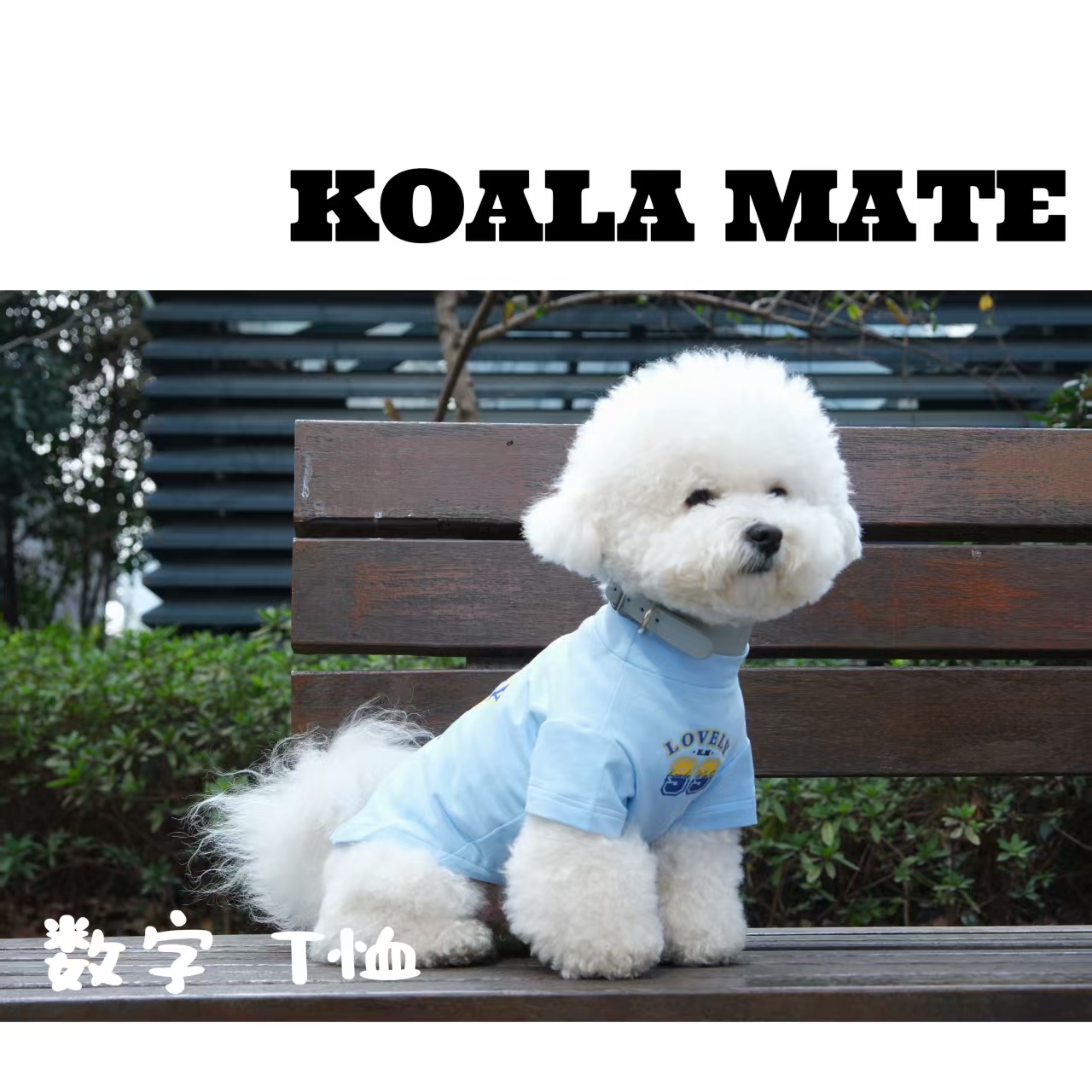 KOALA MATE考拉伙伴T恤2号