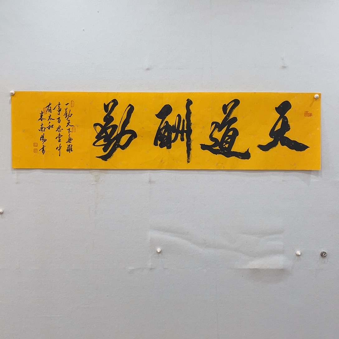 横款博航艺术书法作品集