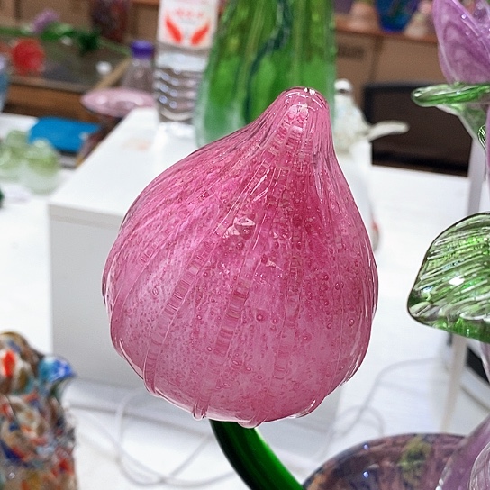 夜光花高45厘米宽6厘米