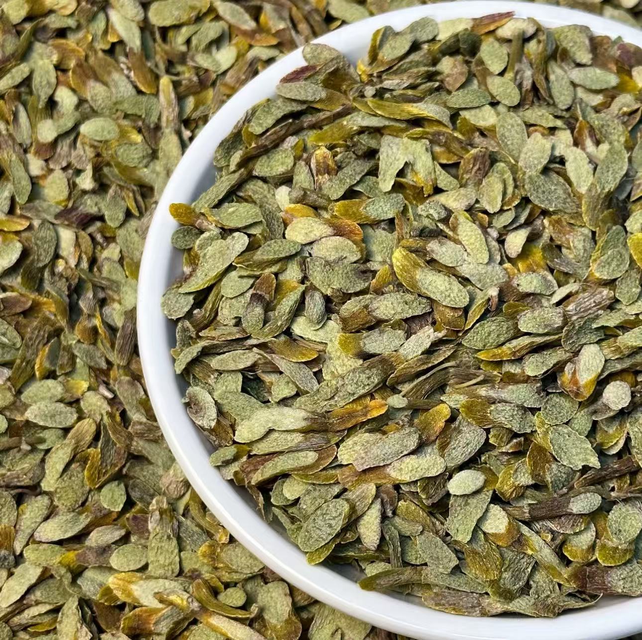 邱正新农人-紫盈仙斛