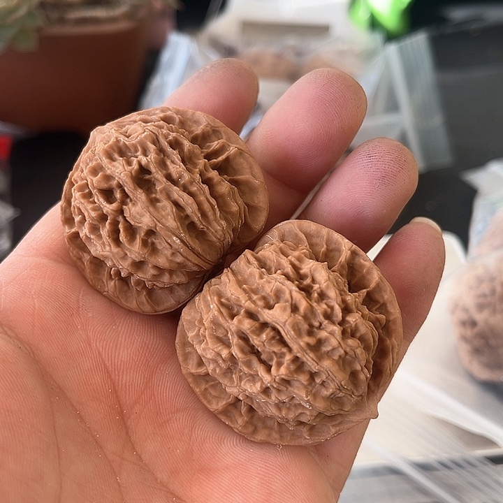 文玩核桃把件王**?42尺蟠龙纹