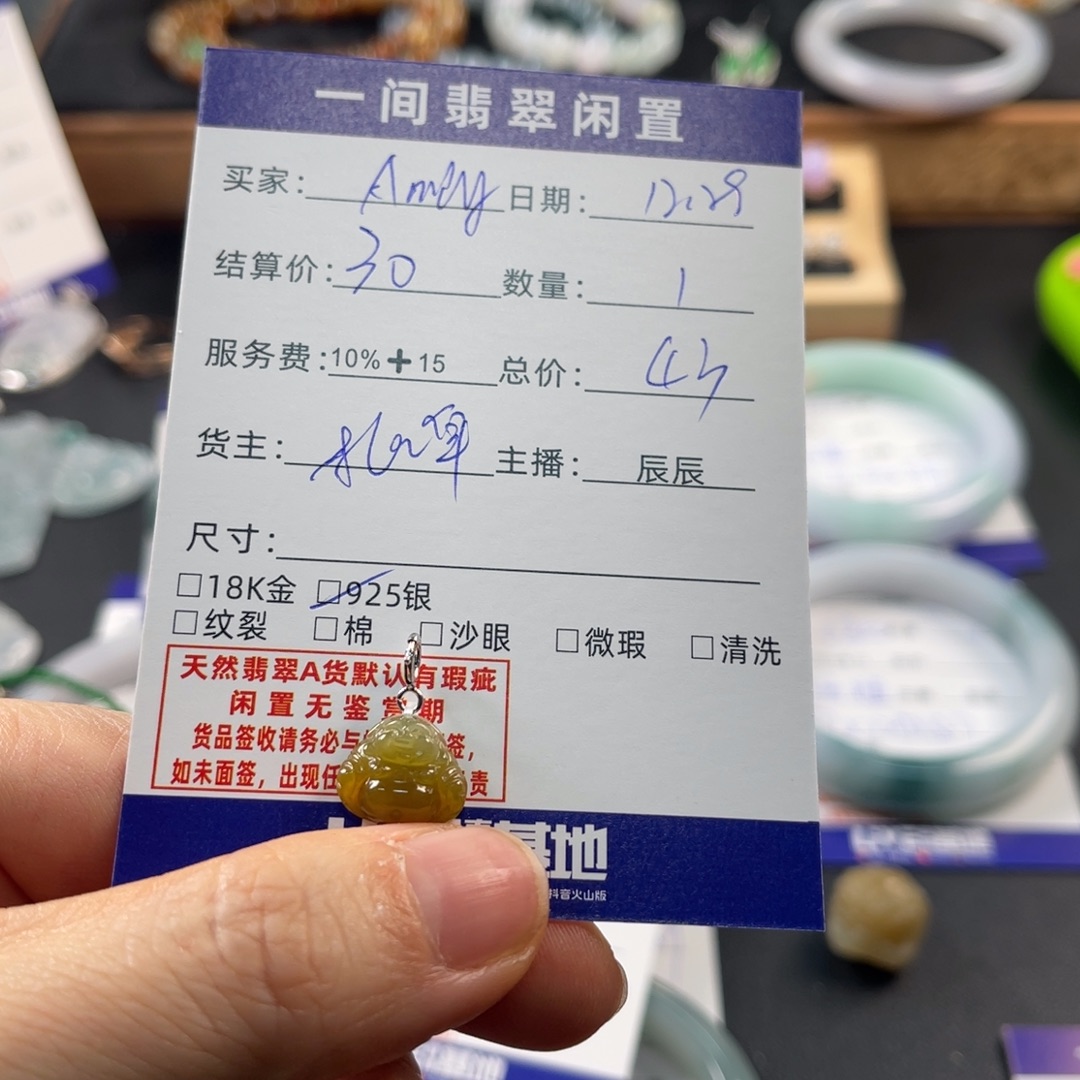 A***y翡翠银S925镶嵌颈饰买断不退换