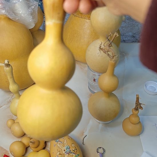 自***渡大叶紫檀（黑酸枝木类）