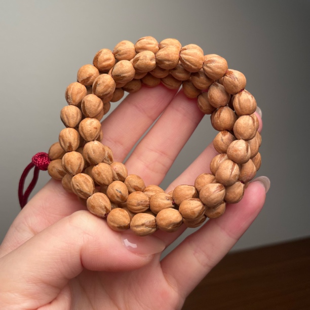 热振柏香籽7+红油皮原桩红芽