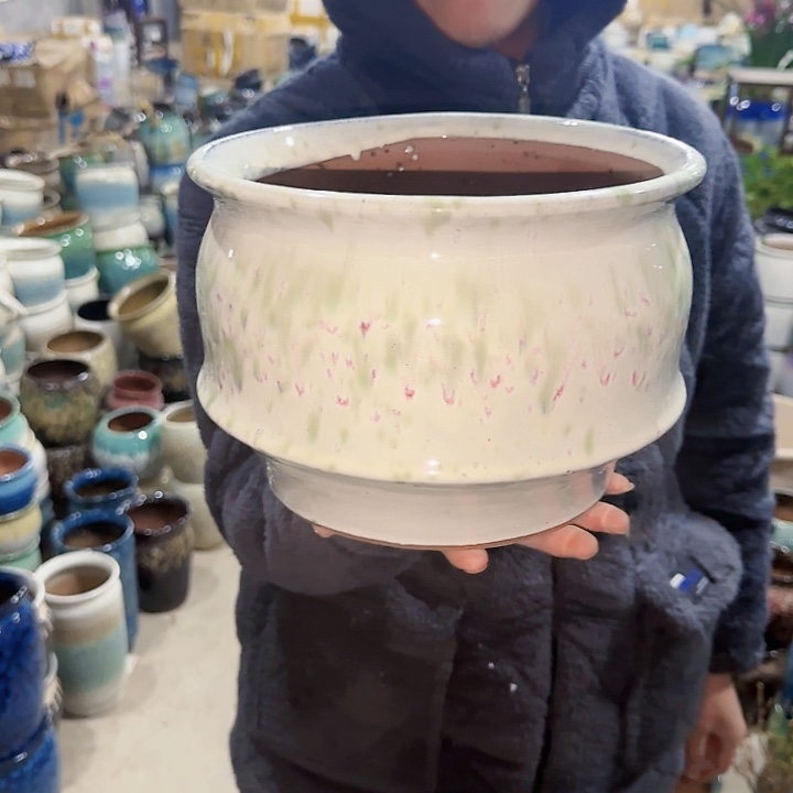 红陶高度18口25啦啦啦