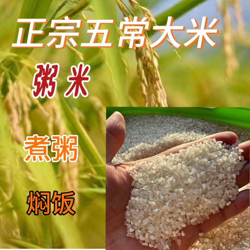 粥米2025年新磨东北五常碎米当季新米散装碎米煮粥煮饭软糯香甜