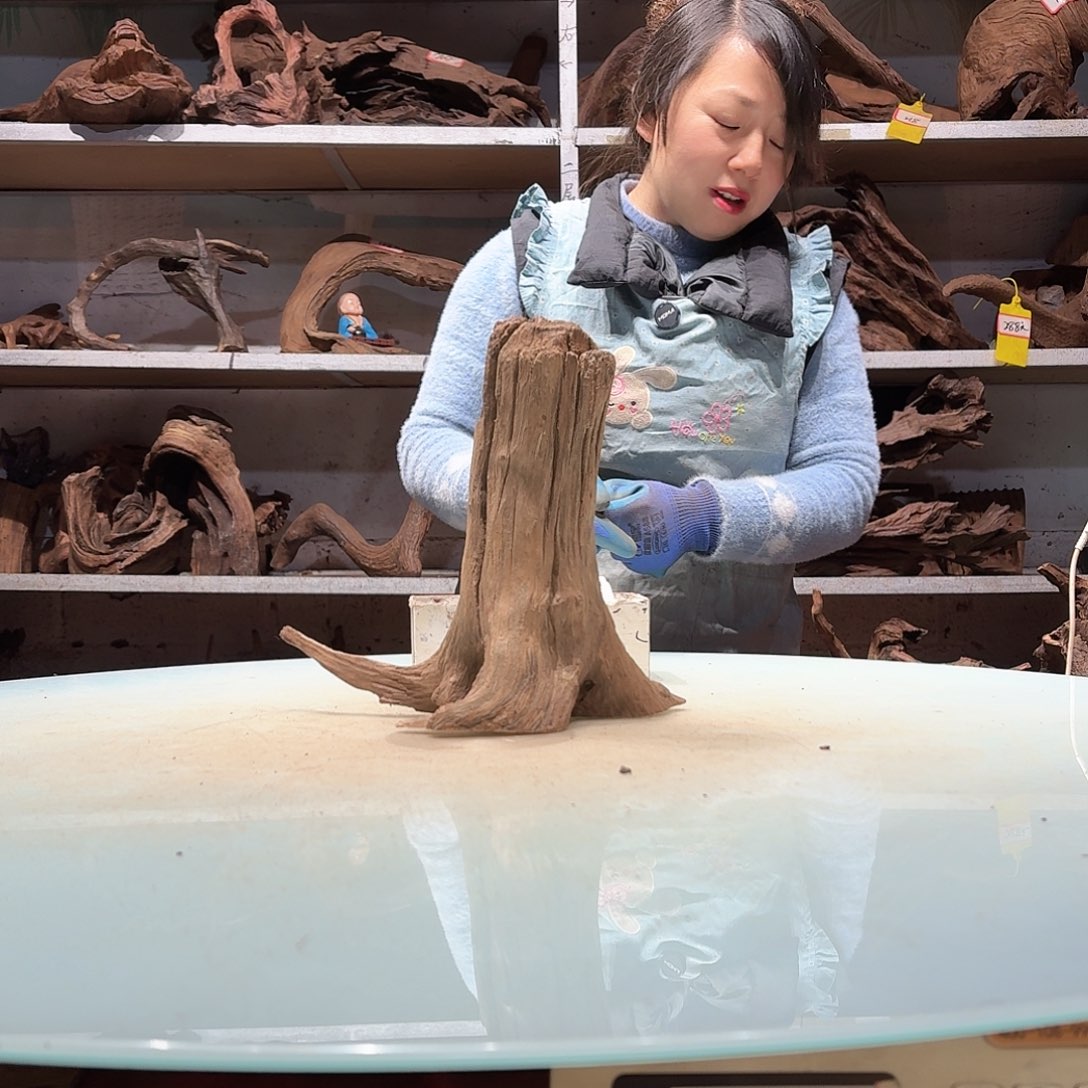 倍诸沉木不包损必褪色七*6453