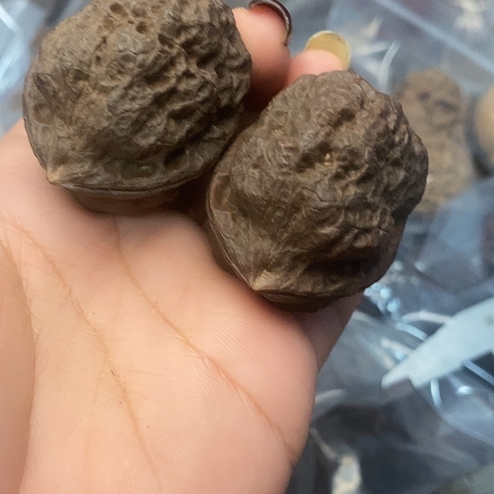 文玩核桃吊坠32号43nm