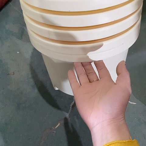 树脂球根26口径5个无托米黄