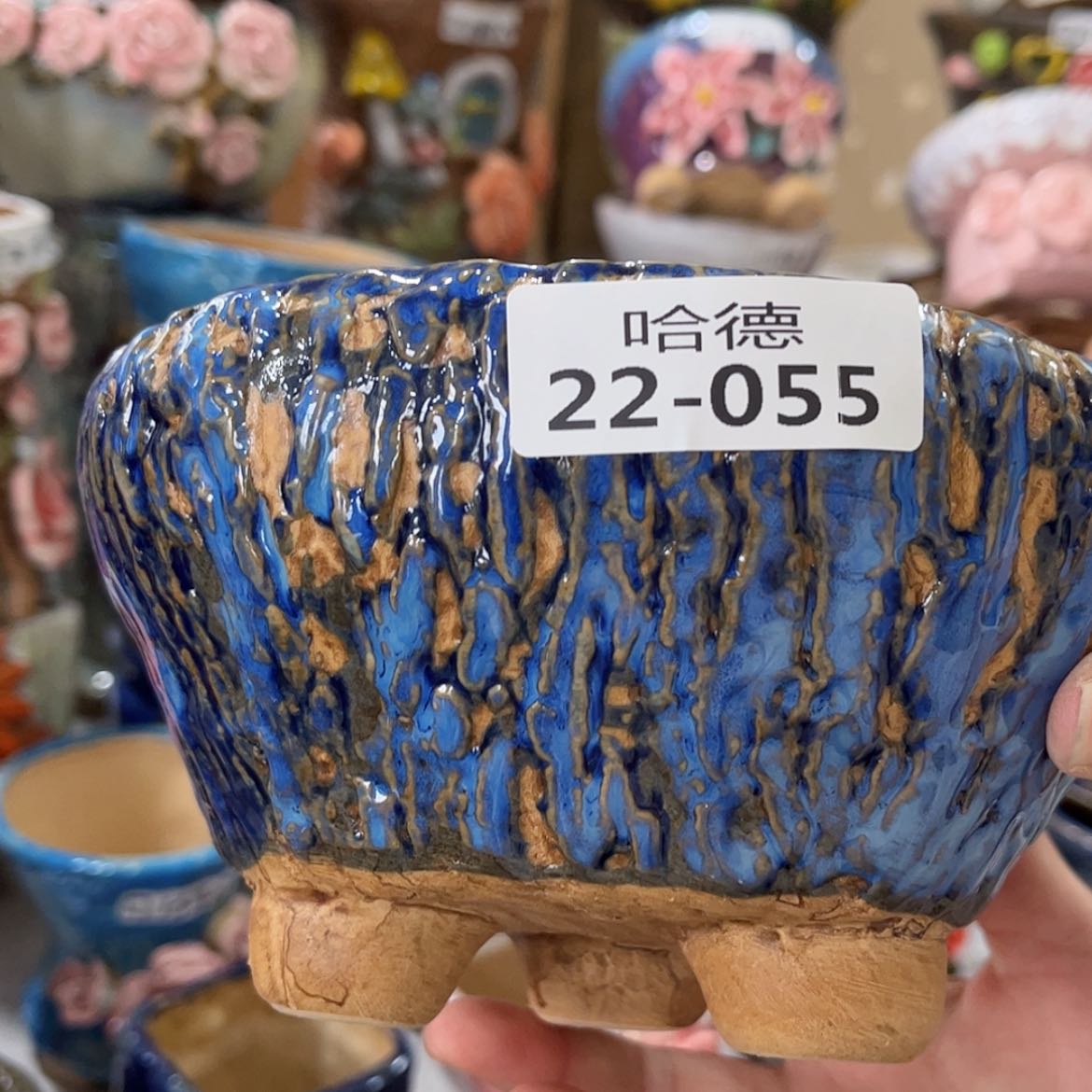 【闪购商品】红陶福利