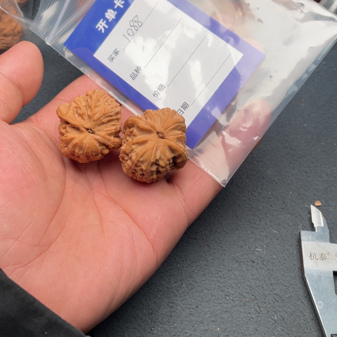 核桃把件32白狮子，1088号