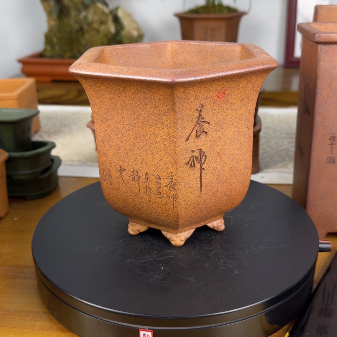 紫砂花盆点****团紫砂花盆