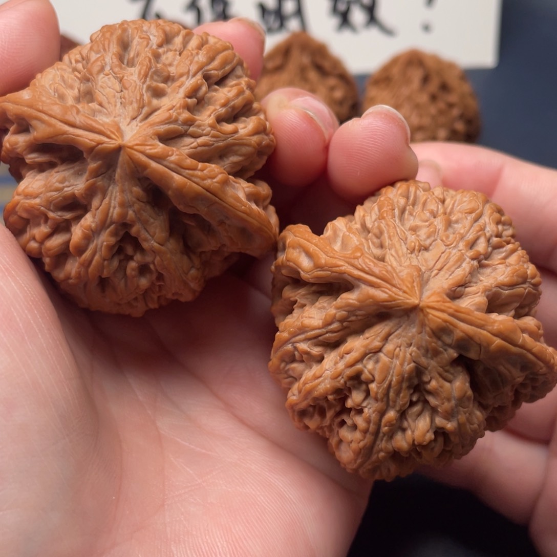 文玩核桃把件大粗筋47