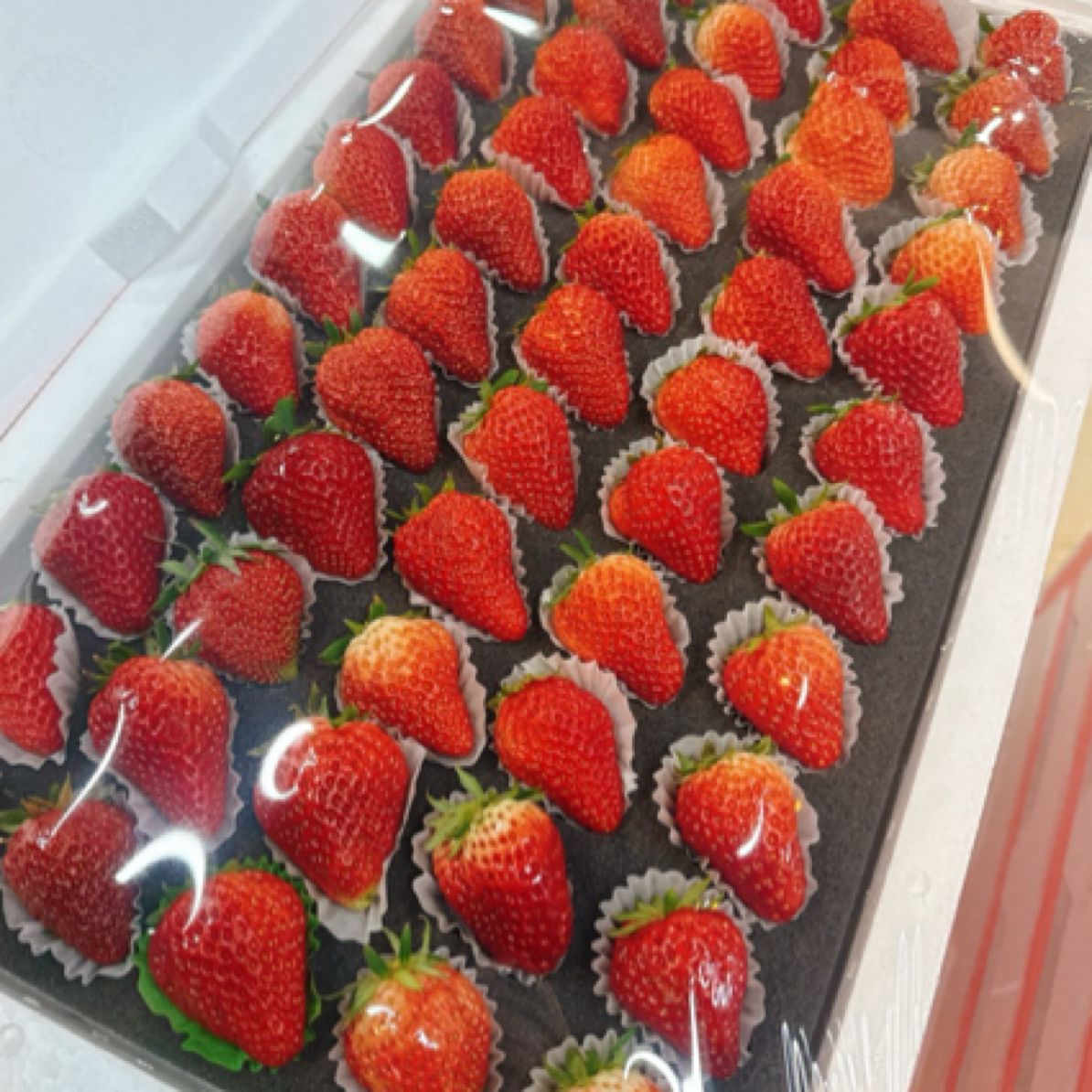 【畅销】草莓45元1板